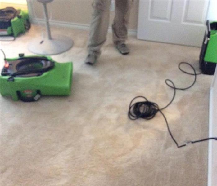 wet carpet, green equipment