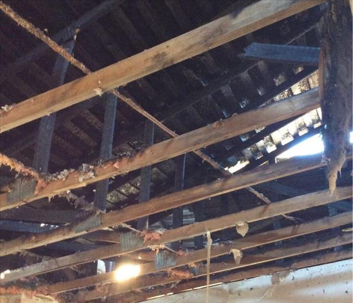 hail and wind damaged rafters