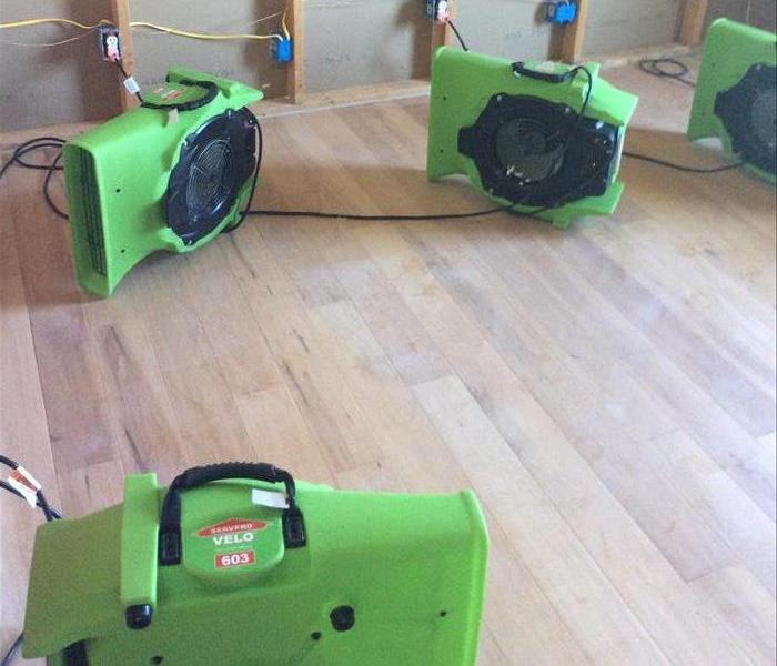 bare studs green equipment